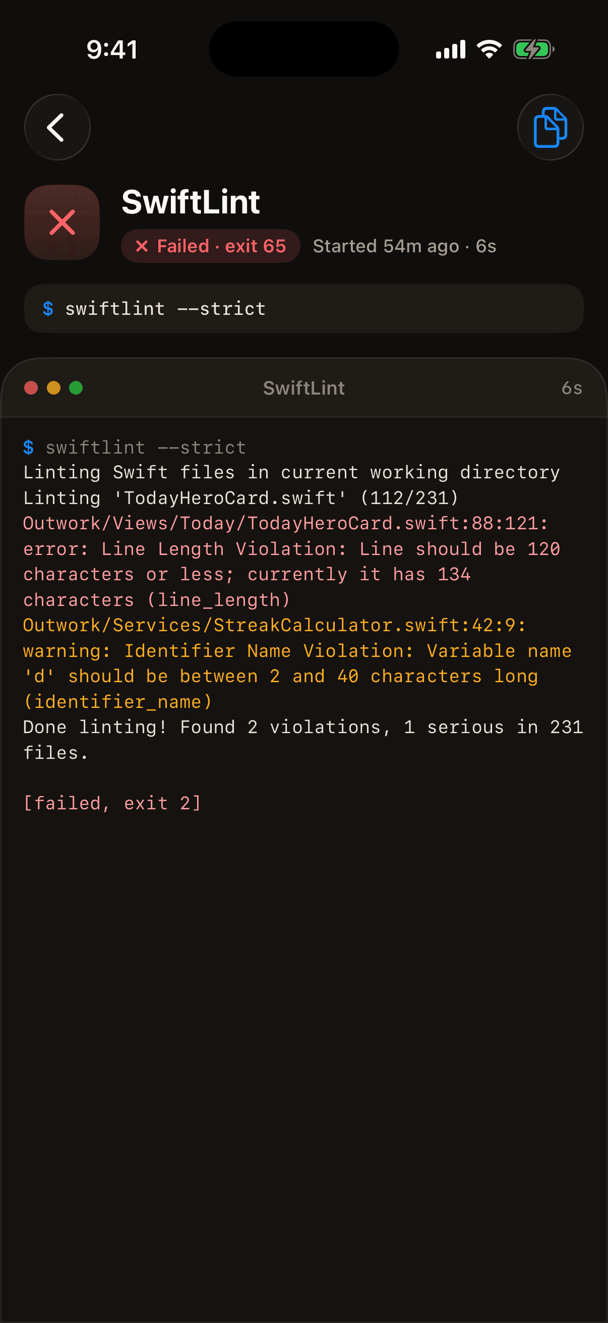 A command run with streaming terminal output